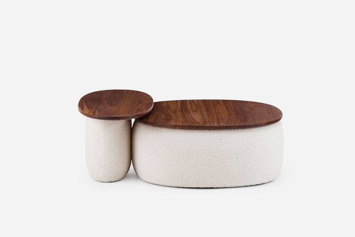 DANISH OILED WALNUT & ELLE 200 (MODEL 139S + 140M FLORES)