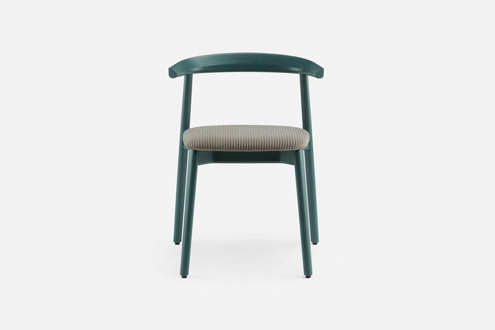 BAY PAINTED ASH & PHLOX 243